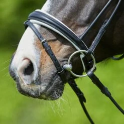 Kieffer Trense Sylvie II Crystals Schwarz -Reitsportbedarf Verkäufe kieffer 44981811 2.6f3d0b