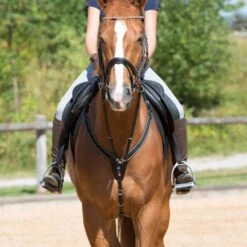 Kieffer Brustgeschirr Arlene Elastisch Schwarz -Reitsportbedarf Verkäufe kieffer 922 arlene vorderzeug breastplate 1.66c7ce