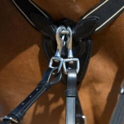 Kieffer Brustgeschirr Arlene Elastisch Schwarz -Reitsportbedarf Verkäufe kieffer 922 arlene vorderzeug breastplate 4.ad1c11