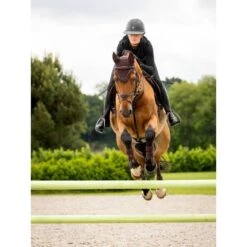 LeMieux Fliegenhaube Crystal Schwarz -Reitsportbedarf Verkäufe lemieux 1s6a6270 edit copy.2d9f29