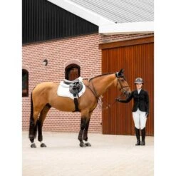 LeMieux Schabracke Crystal Suede Close Contact Braun -Reitsportbedarf Verkäufe lemieux 1s6a9802 edit copy.925a8b
