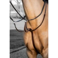 LeMieux Martingal Arika Running Schwarz/Silber -Reitsportbedarf Verkäufe lemieux it03726 lifestyle arikarunningmartingale havana 1.7d1a9e