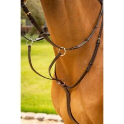 LeMieux Martingal Arika Running Schwarz/Silber -Reitsportbedarf Verkäufe lemieux it03730 lifestyle arikarunningmartingale brown 1.43ff48