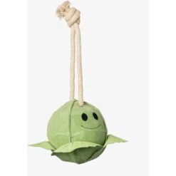 LeMieux Spielzeug Paard Sprout Sprout -Reitsportbedarf Verkäufe lm 3n6a3433 edit copy 1.628ef2