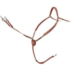 Passier Vorderzeug Marcus Ehning Havanna/Silber 9 Passier Vorderzeug Marcus Ehning Havanna/Silber -Reitsportbedarf Verkäufe pas 688 me vz tea edst mtggab.be6432