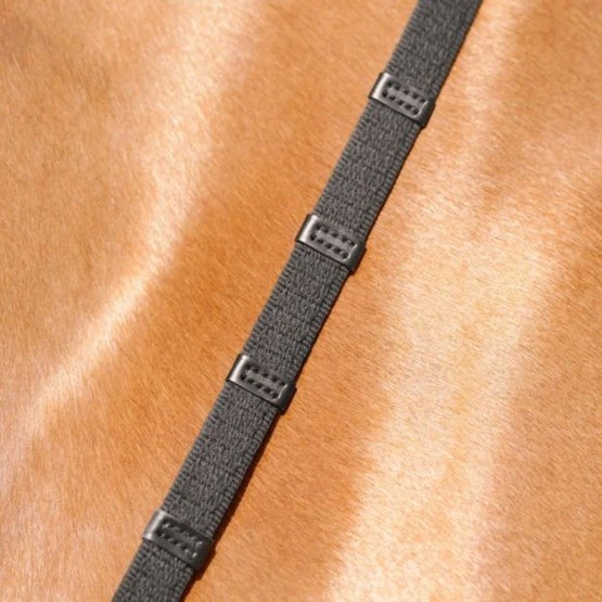 Passier Zügel Gurtmaterial 5 Stegen Havanna/Silber 4 Passier Zügel Gurtmaterial 5 Stegen Havanna/Silber – Bild 2