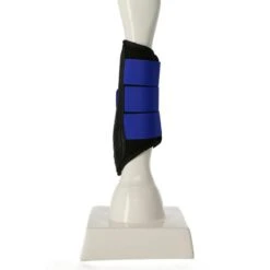 Arma By Shires Beinschutz Neopren Himbeerrot -Reitsportbedarf Verkäufe productagradi 44605524 5.6a9927