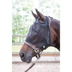 Harry's Horse Fliegenmaske Flyshield Ohne Ohren -Reitsportbedarf Verkäufe producthar 31300008.e09612