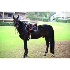 Kentucky Horsewear Kentucky Brustgeschirr Schutxbezug Sheepskin Schwarz 60cm -Reitsportbedarf Verkäufe productken 88190 88299 42406 42601 42602 42506 42505 42605.4eacba