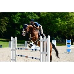 Kentucky Horsewear Kentucky Brustgeschirr Schutxbezug Sheepskin Schwarz 60cm -Reitsportbedarf Verkäufe productken 88192 42402 42601 42602 42605.f400e7