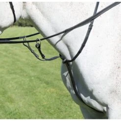 Avignon By Shires Martingal Schwarz