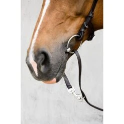 PS Of Sweden Trense Helsinki Braun -Reitsportbedarf Verkäufe ps dsc 4086.1897cf