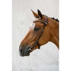 PS Of Sweden Trense Helsinki Braun