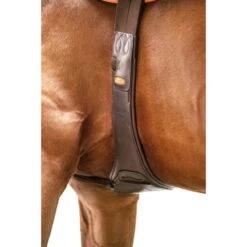 Schockemöhle Sattelgurt Portland Espresso/Silber -Reitsportbedarf Verkäufe schockemohle 1151 00006 portland img3048.0c0384