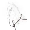 Equiline Brustgeschirr Braun -Reitsportbedarf Verkäufe sd bj202 white ok.54e1a8