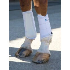 Arma By Shires Beinschutz Neopren Himbeerrot -Reitsportbedarf Verkäufe sh 170a white.3268b1