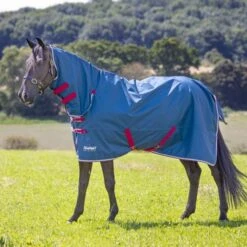 Tempest Original Regendecke Lite Combo Teal