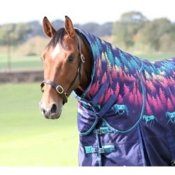 Highlander Original Halsstück Lite Teal 17 Highlander Original Halsstück Lite Teal -Reitsportbedarf Verkäufe shires 9352n navyforest.da0af9