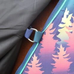 Highlander Original Halsstück Lite Teal 18 Highlander Original Halsstück Lite Teal -Reitsportbedarf Verkäufe shires 9352n navyforest 2.1526af