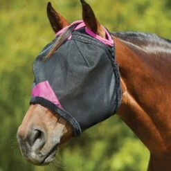Weatherbeeta Fliegenmaske Comfitec Deluxe Durable Mesh Schwarz/Lila -Reitsportbedarf Verkäufe wb 1009428000 blackpurple wb fly mask image hero null.003d60