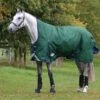 Weatherbeeta Comfitec Plus Dynamic II High Neck Medium/Lite Hunter/Navy -Reitsportbedarf Verkäufe weatherbeeta 1006927004 wb cft pdynmc ii high image null hero.81b85f