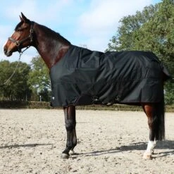 Eskadron Turnout Rug Gamma 840D 150g Schwarz -Reitsportbedarf Verkäufe web 44652445.8c645b
