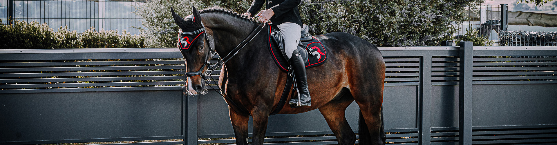 Reitsportbedarf Verkäufe -Reitsportbedarf Verkäufe 1