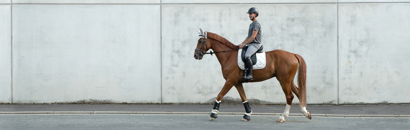 Reitsportbedarf Verkäufe -Reitsportbedarf Verkäufe 2