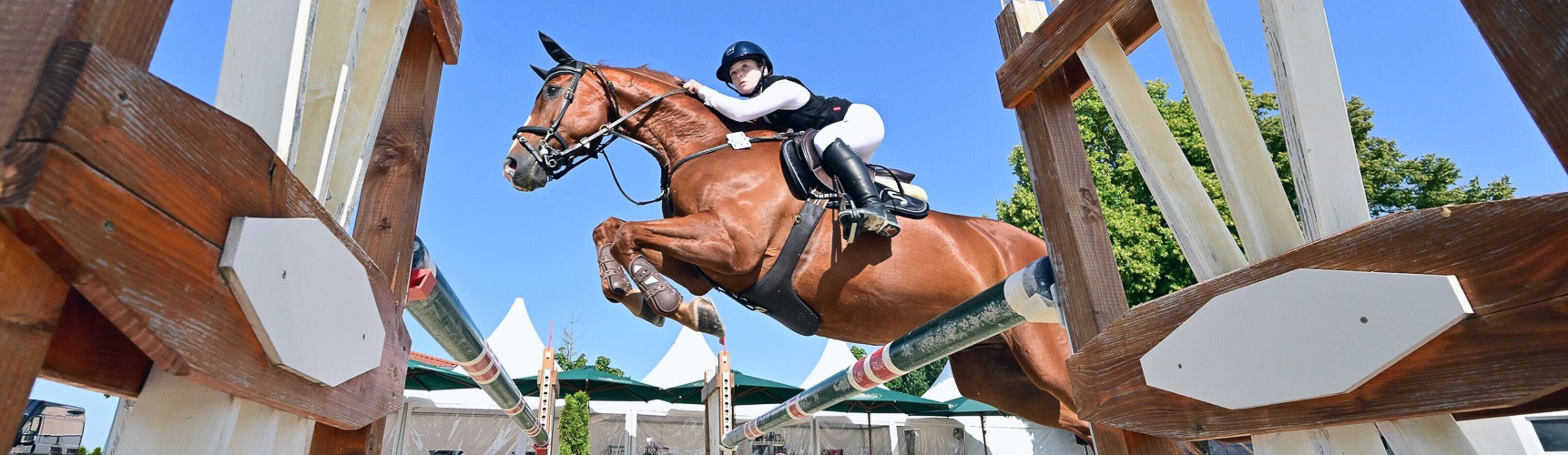 Reitsportbedarf Verkäufe -Reitsportbedarf Verkäufe 3